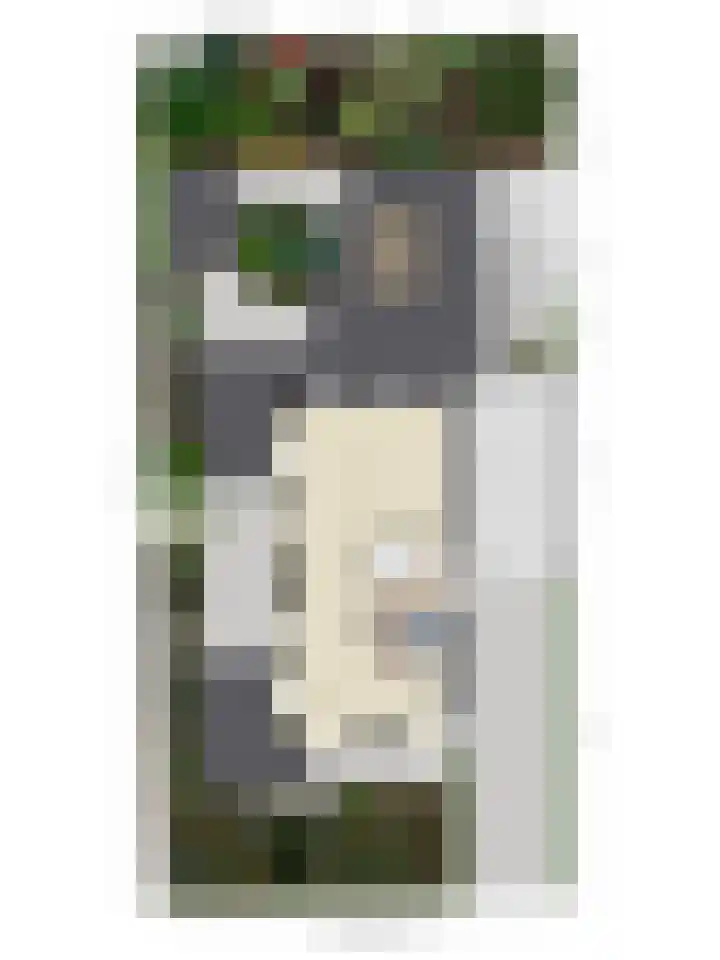 Oukoopstraat 6 Zoetermeer thumbnail 57