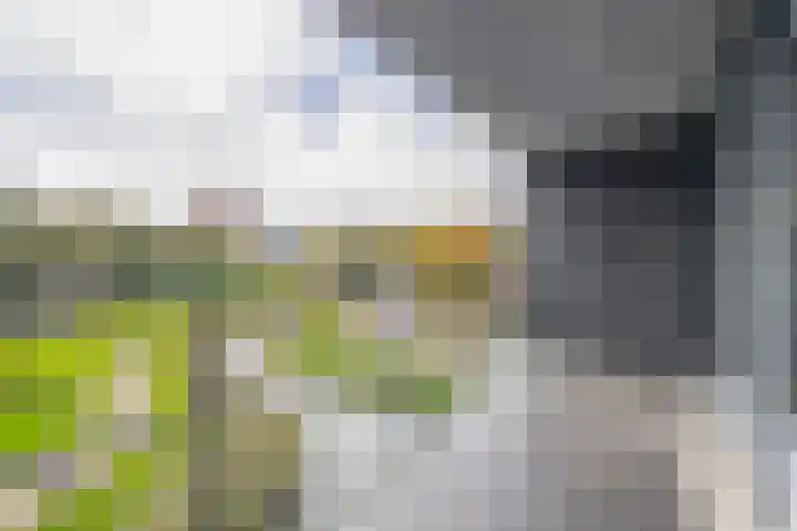 Kantoor foto van Out A'dam