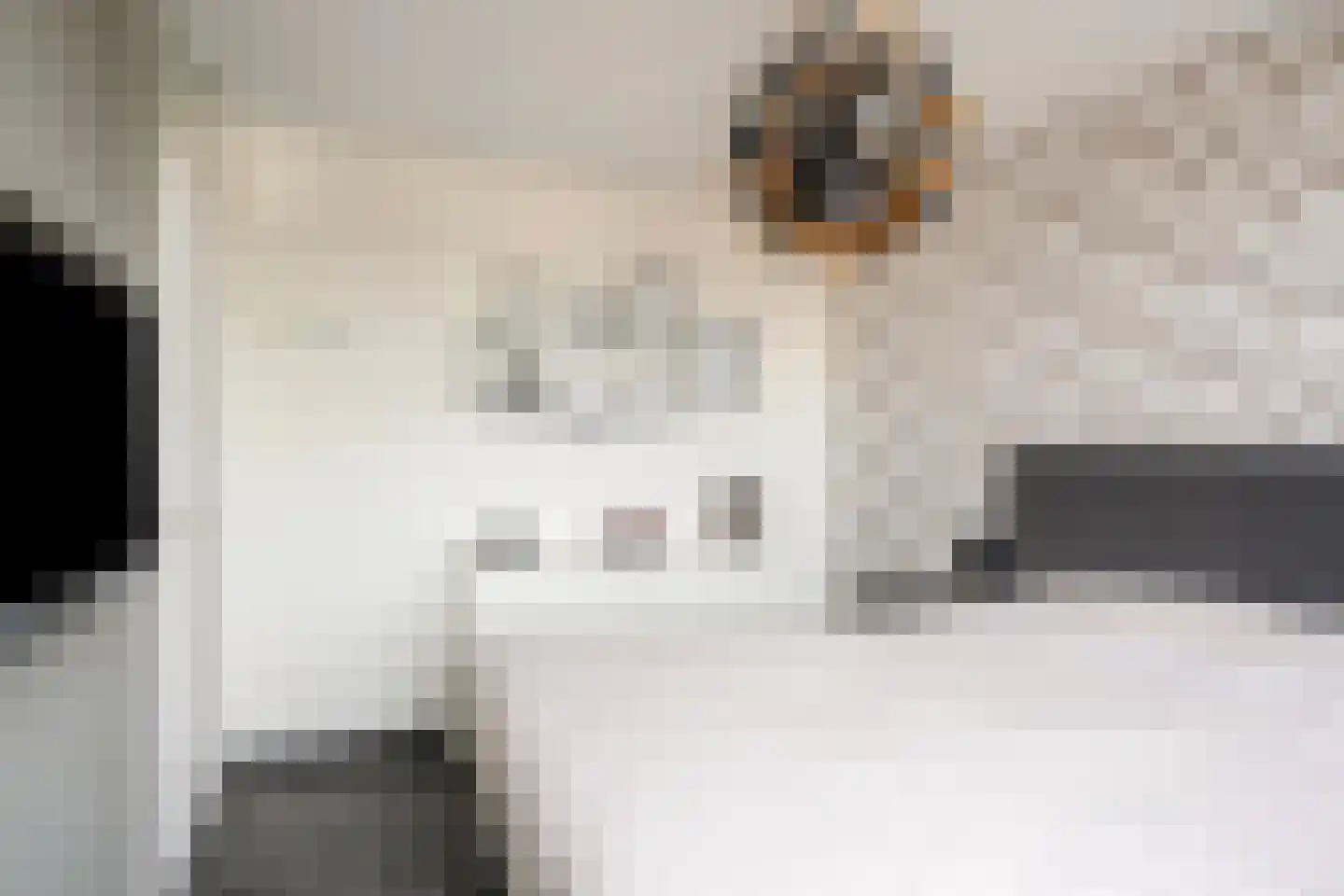 Outerlant 29 Akersloot thumbnail 14