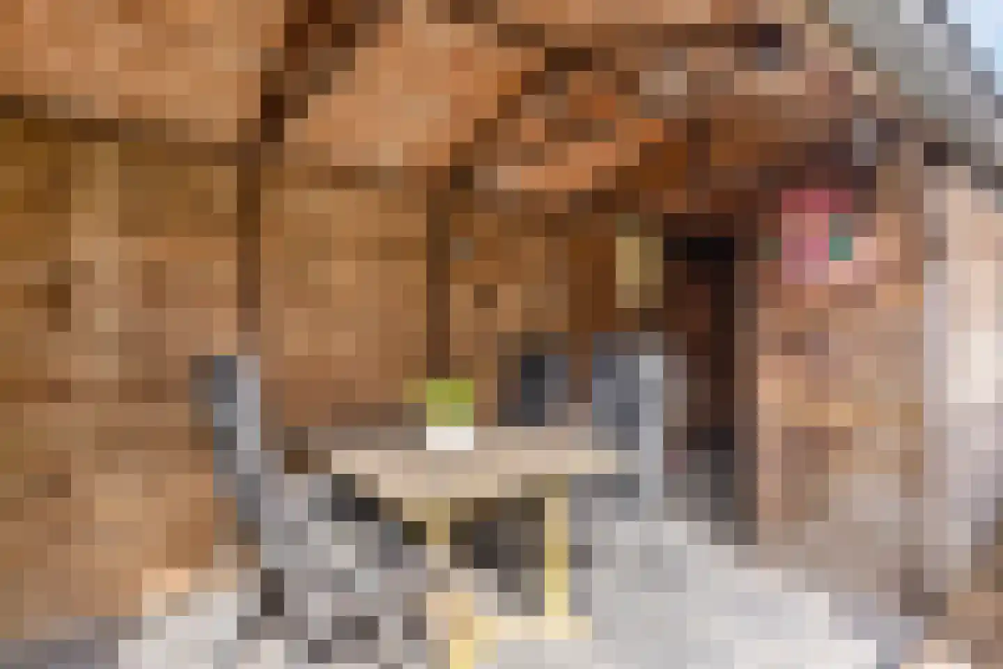 Outerlant 29 Akersloot thumbnail 27