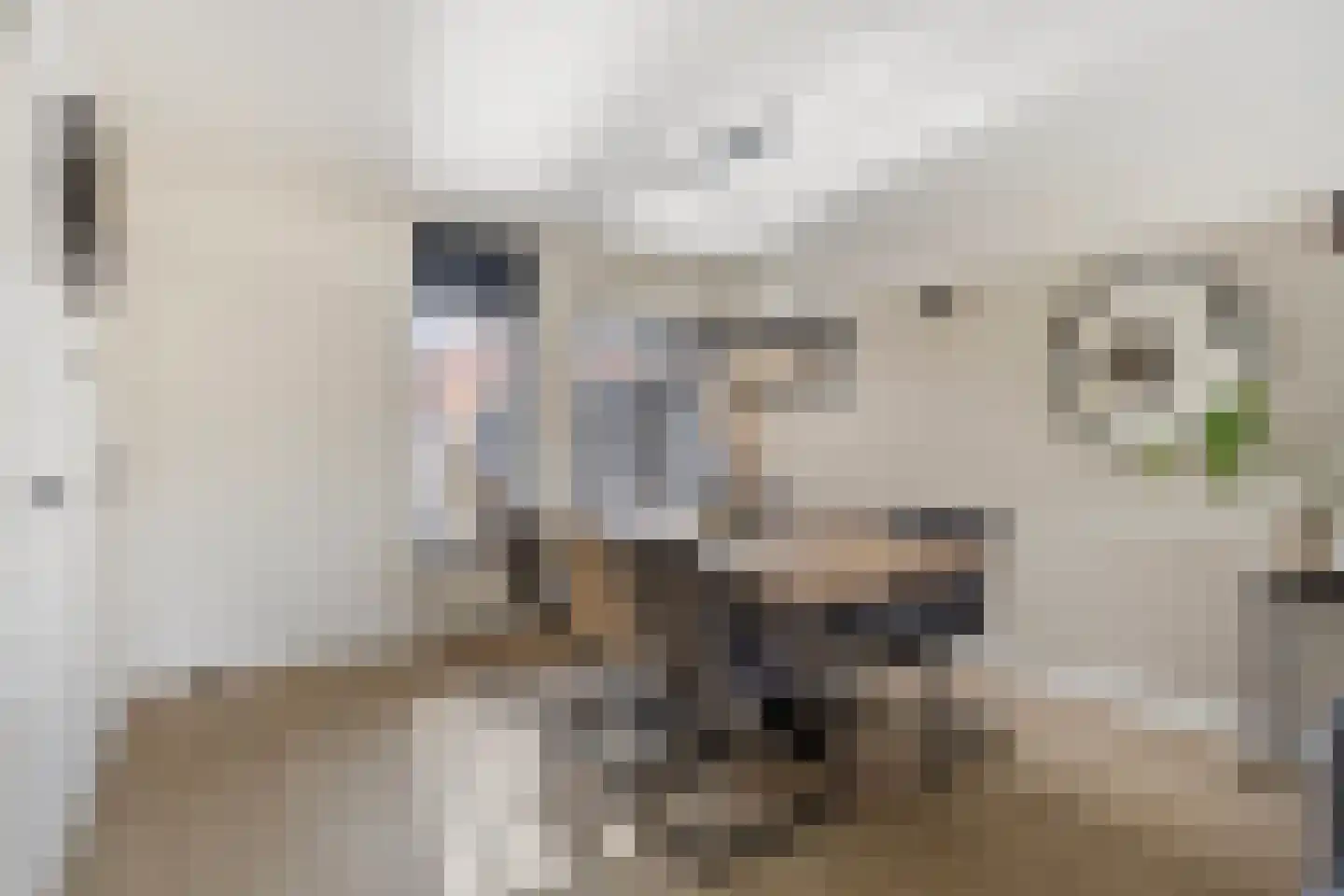 Outerlant 29 Akersloot thumbnail 4