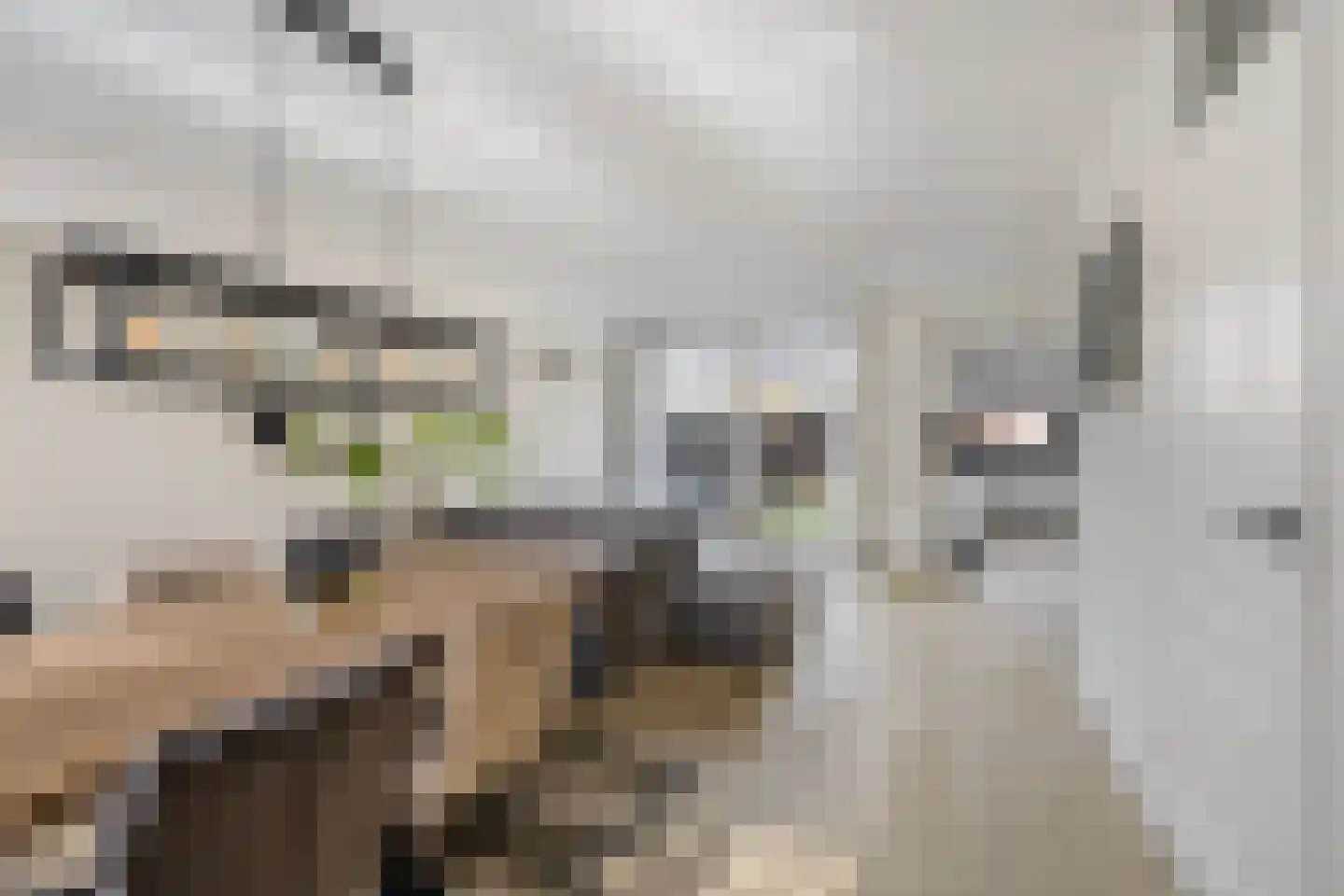 Outerlant 29 Akersloot thumbnail 9