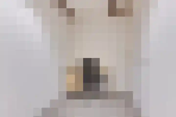 Outger Jacobszstraat 2 Bovenkarspel thumbnail 15