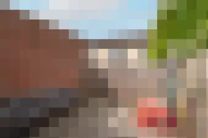 Outger Jacobszstraat 2 Bovenkarspel thumbnail 34