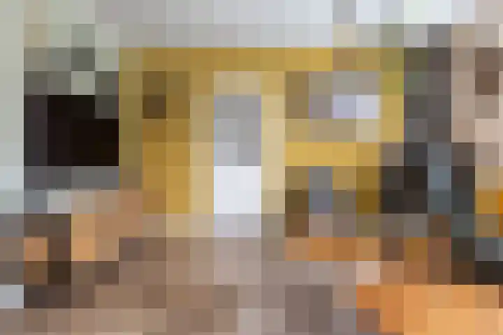 Outger Jacobszstraat 6 Bovenkarspel thumbnail 15