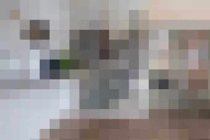 Outger Jacobszstraat 6 Bovenkarspel thumbnail 25
