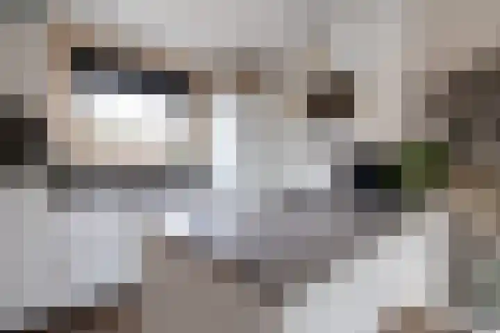 Outger Jacobszstraat 6 Bovenkarspel thumbnail 27