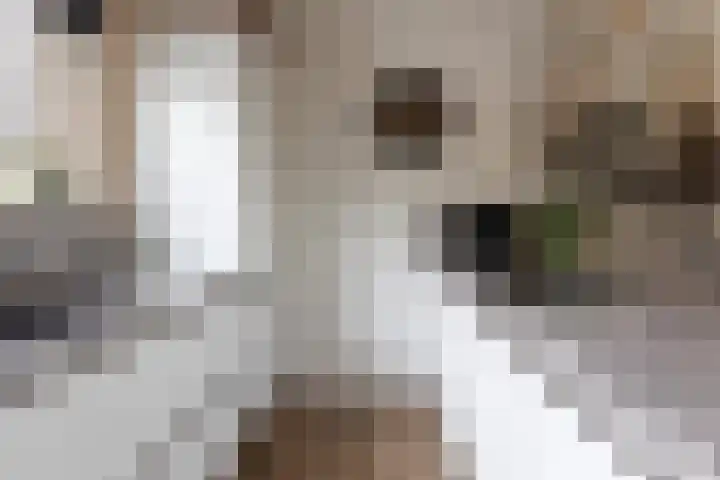 Outger Jacobszstraat 6 Bovenkarspel thumbnail 28