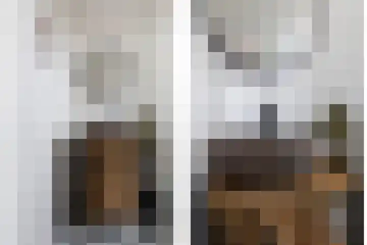 Outger Jacobszstraat 6 Bovenkarspel thumbnail 38