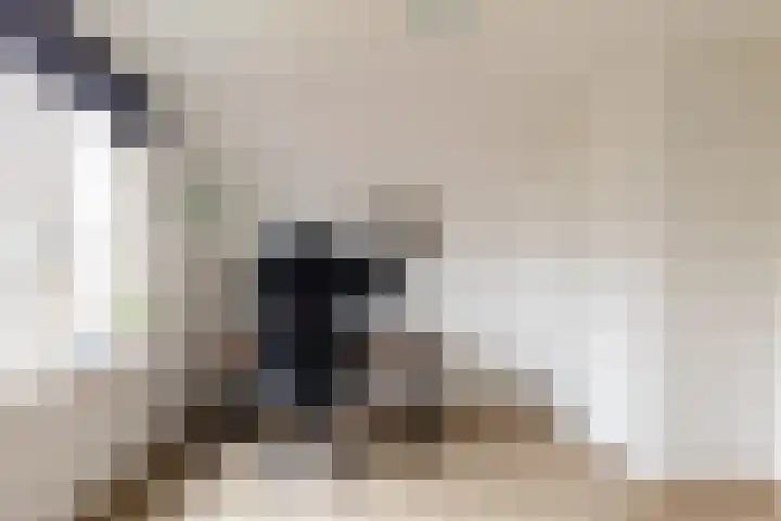 Outger Jacobszstraat 6 Bovenkarspel thumbnail 51