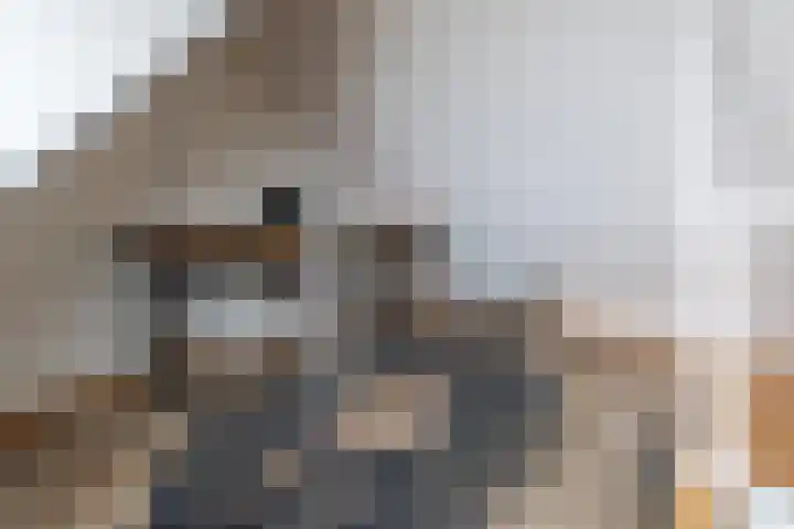 Outger Jacobszstraat 6 Bovenkarspel thumbnail 63