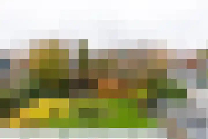 Outger Jacobszstraat 6 Bovenkarspel thumbnail 67