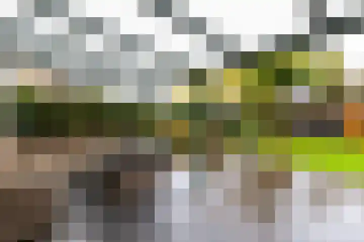 Outger Jacobszstraat 6 Bovenkarspel thumbnail 69