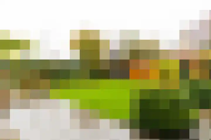 Outger Jacobszstraat 6 Bovenkarspel thumbnail 70
