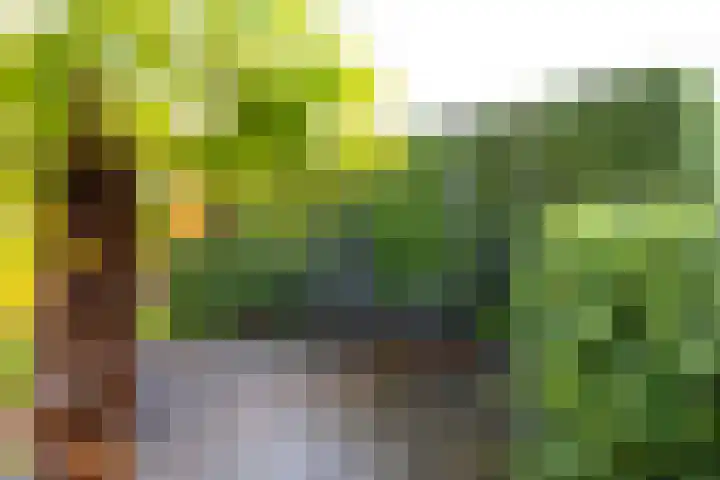 Outger Jacobszstraat 6 Bovenkarspel thumbnail 72
