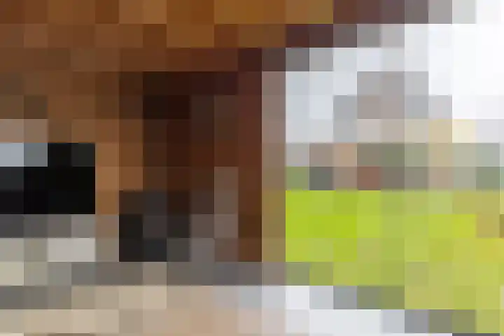 Outger Jacobszstraat 6 Bovenkarspel thumbnail 75