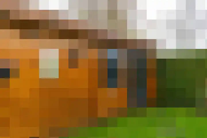 Outger Jacobszstraat 6 Bovenkarspel thumbnail 78