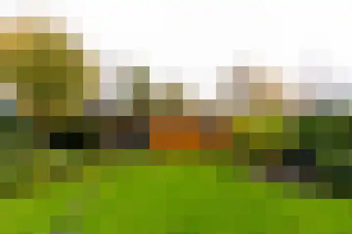 Outger Jacobszstraat 6 Bovenkarspel thumbnail 79