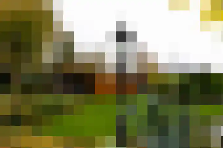 Outger Jacobszstraat 6 Bovenkarspel thumbnail 81