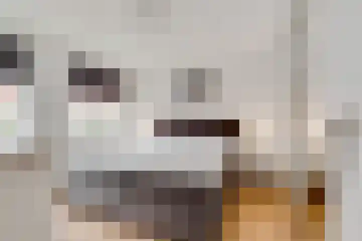 Outshoornlaan 18 Hilversum thumbnail 17