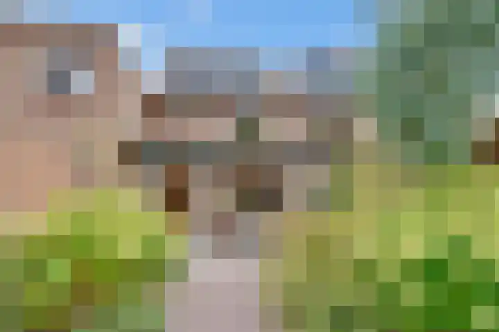 Outshoornlaan 18 Hilversum thumbnail 30
