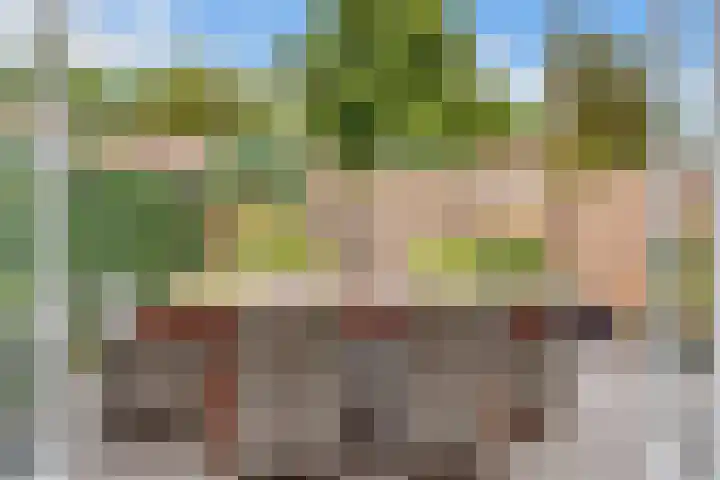 Outshoornlaan 18 Hilversum thumbnail 35