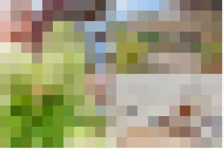 Outshoornlaan 18 Hilversum thumbnail 39