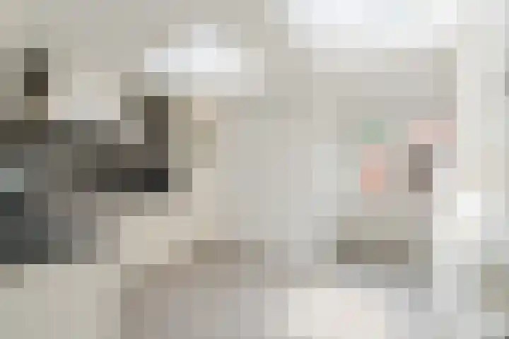 Outshoornstraat 101 Tilburg thumbnail 6