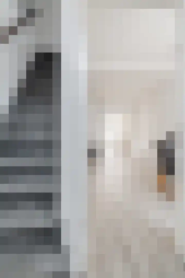 Outshoornstraat 101 Tilburg thumbnail 9