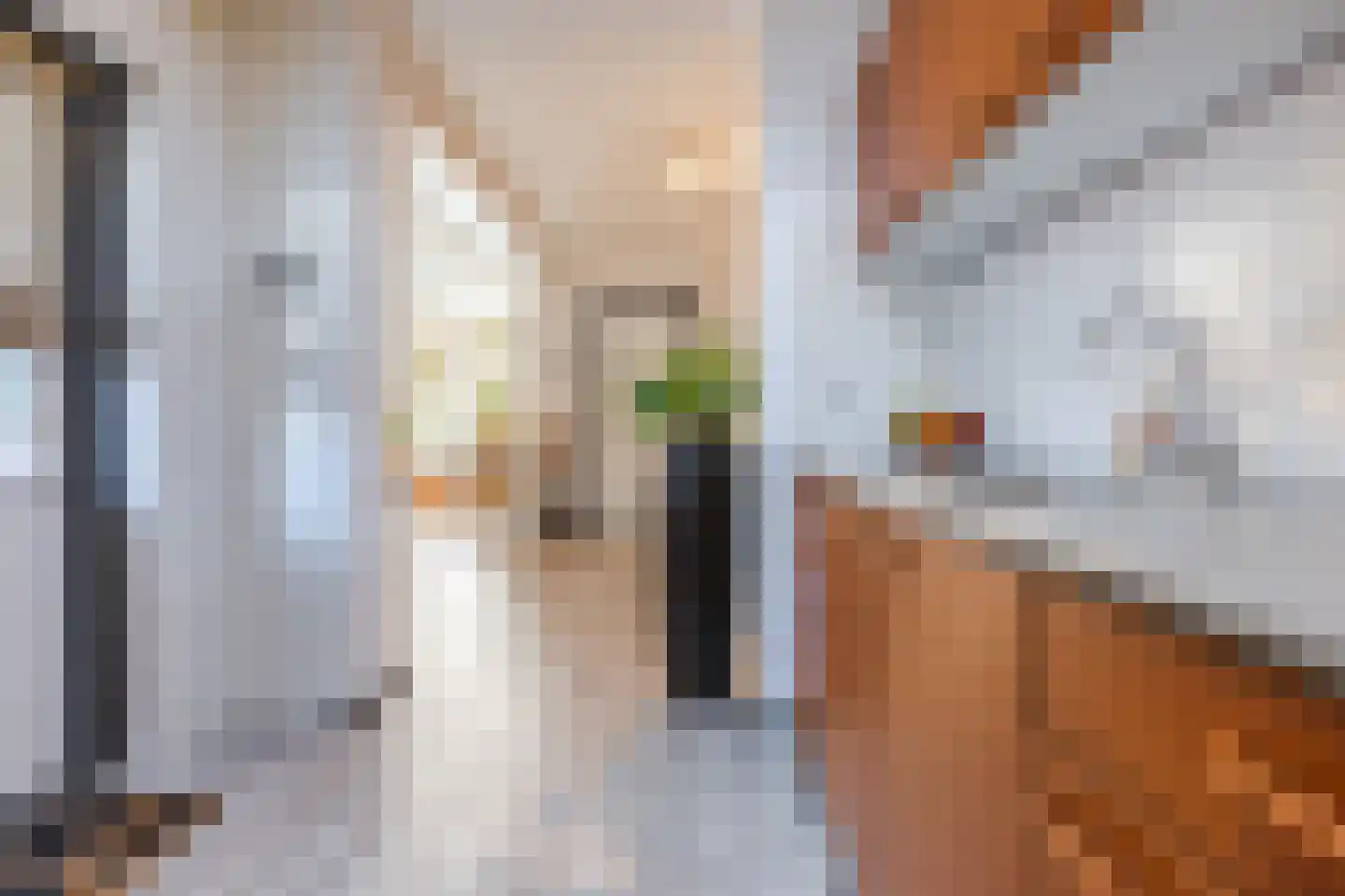 Outshoornstraat 40 Tilburg thumbnail 11