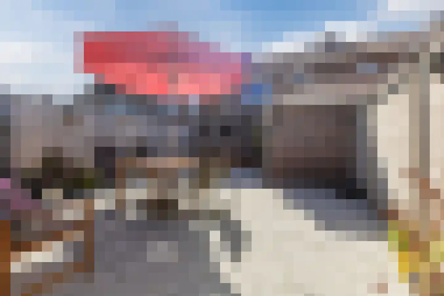 Outshoornstraat 40 Tilburg thumbnail 31