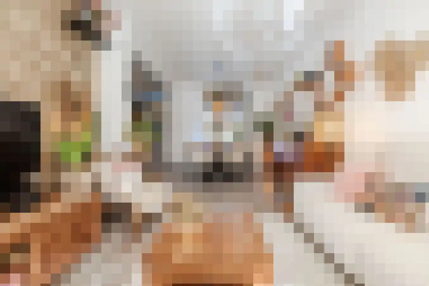 Outshoornstraat 40 Tilburg thumbnail 5