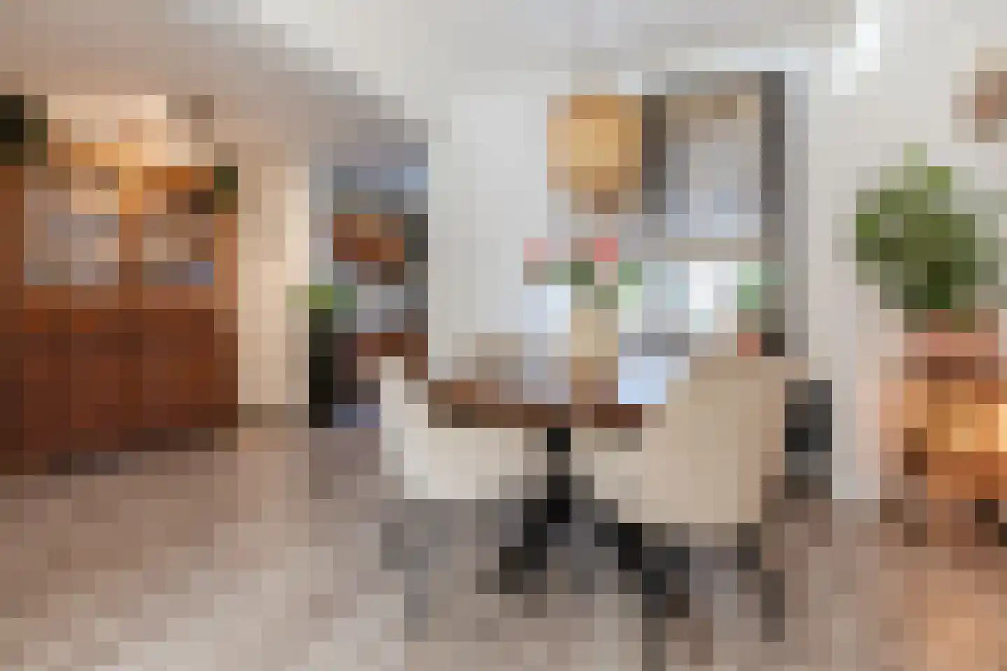 Outshoornstraat 40 Tilburg thumbnail 6