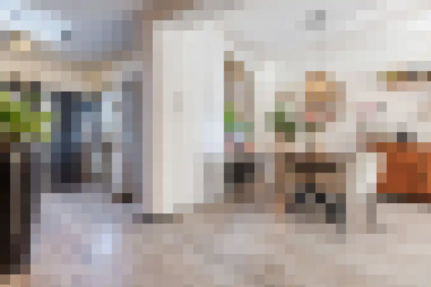 Outshoornstraat 40 Tilburg thumbnail 8