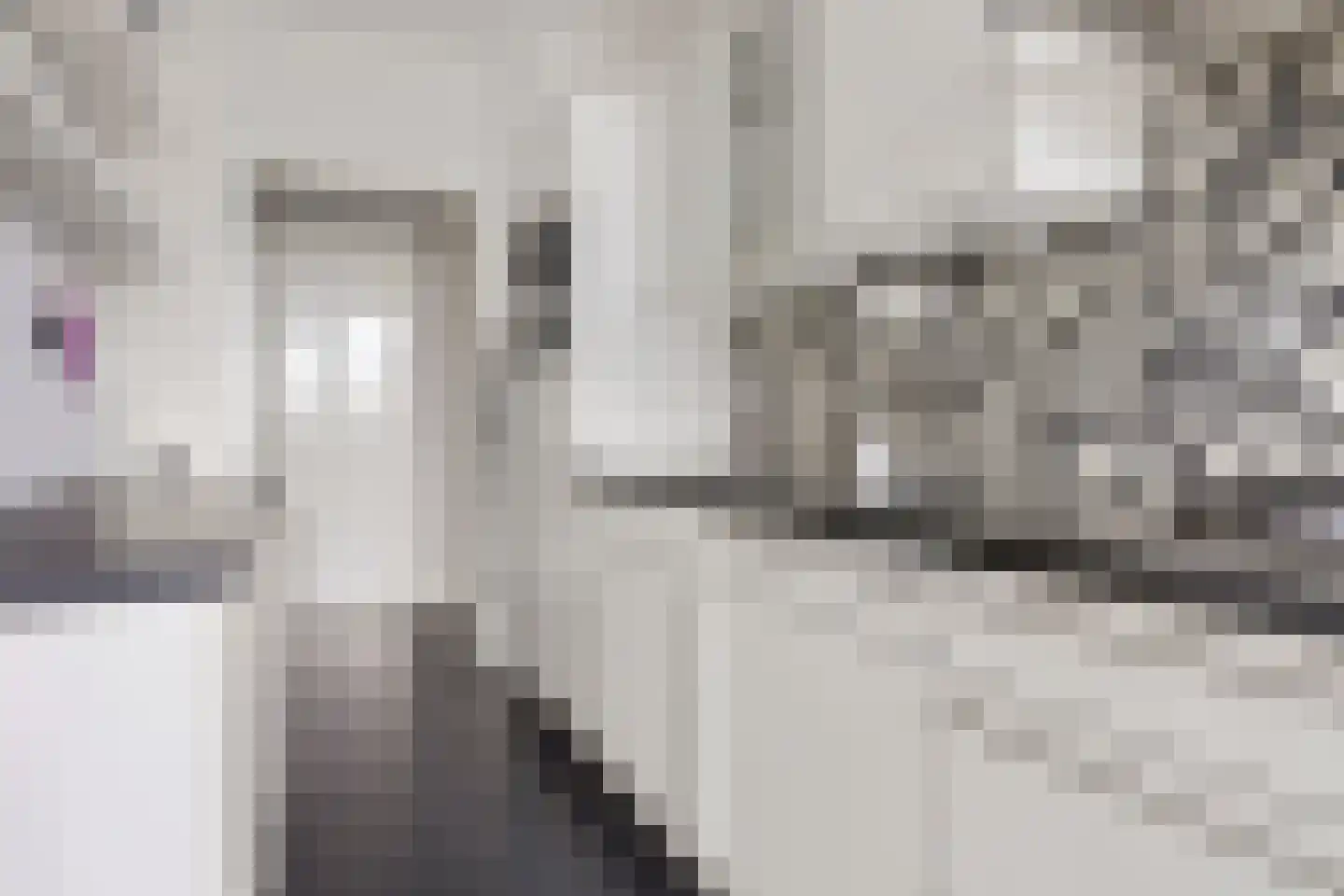 Outshoornstraat 47 Eindhoven thumbnail 14