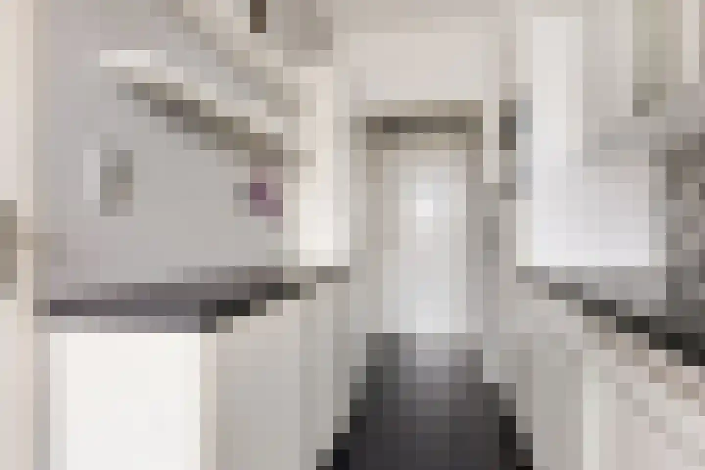 Outshoornstraat 47 Eindhoven thumbnail 5