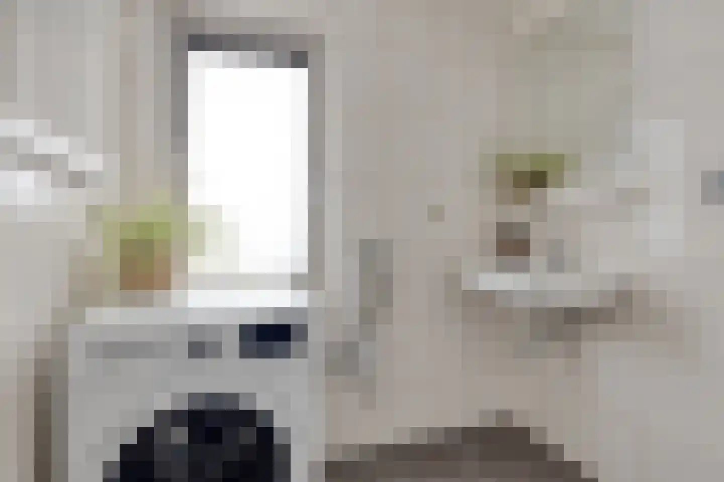 Outshoornstraat 51 Tilburg thumbnail 15