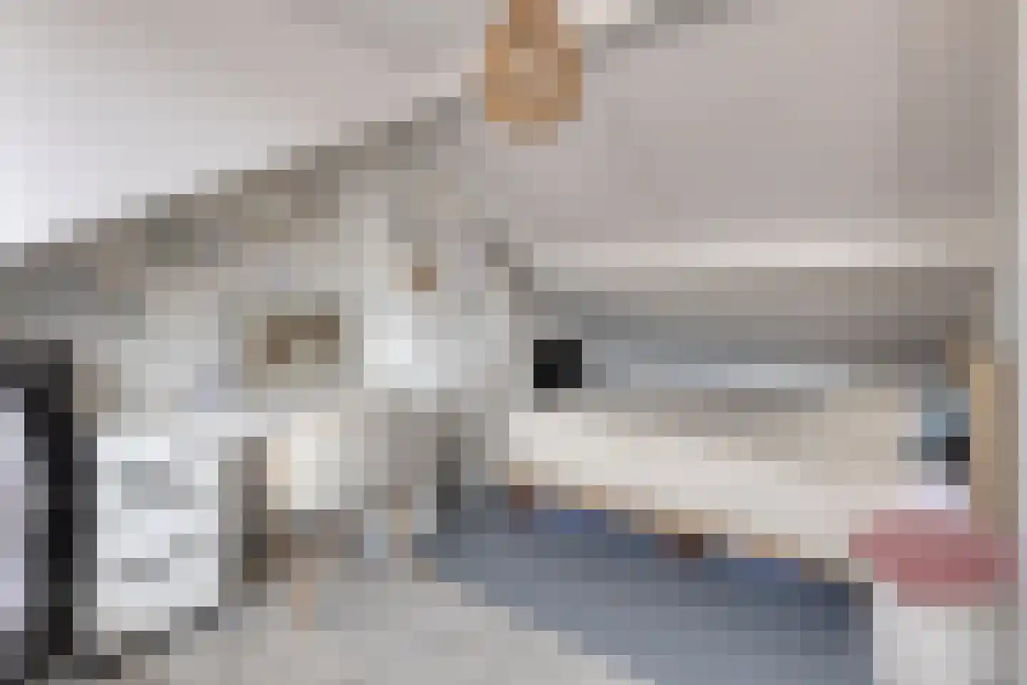 Outshoornstraat 51 Tilburg thumbnail 21