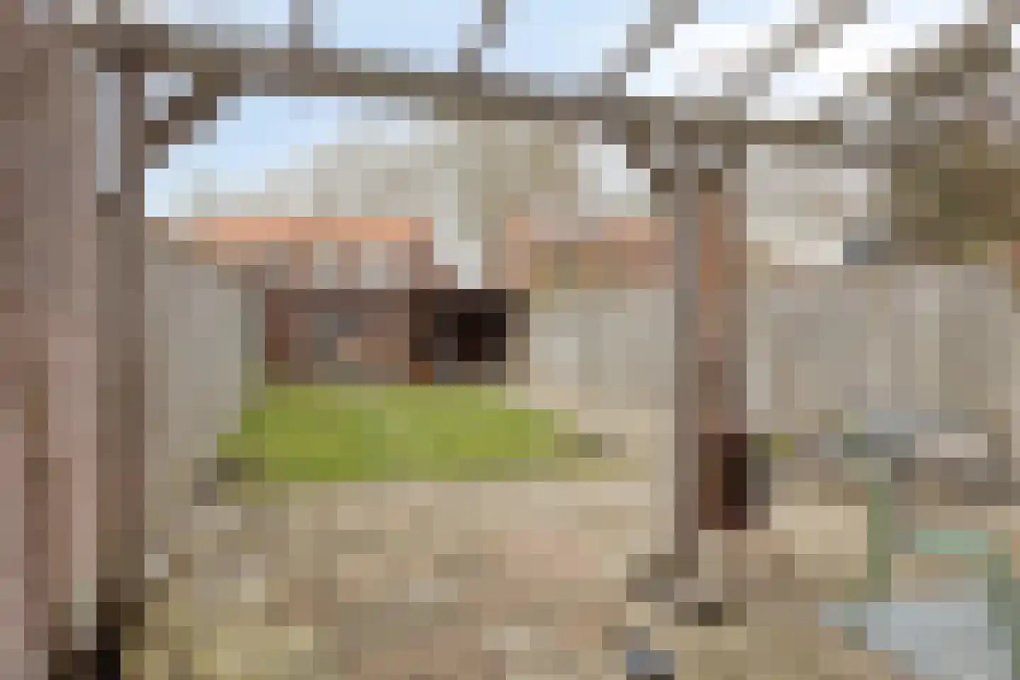 Outshoornstraat 51 Tilburg thumbnail 23