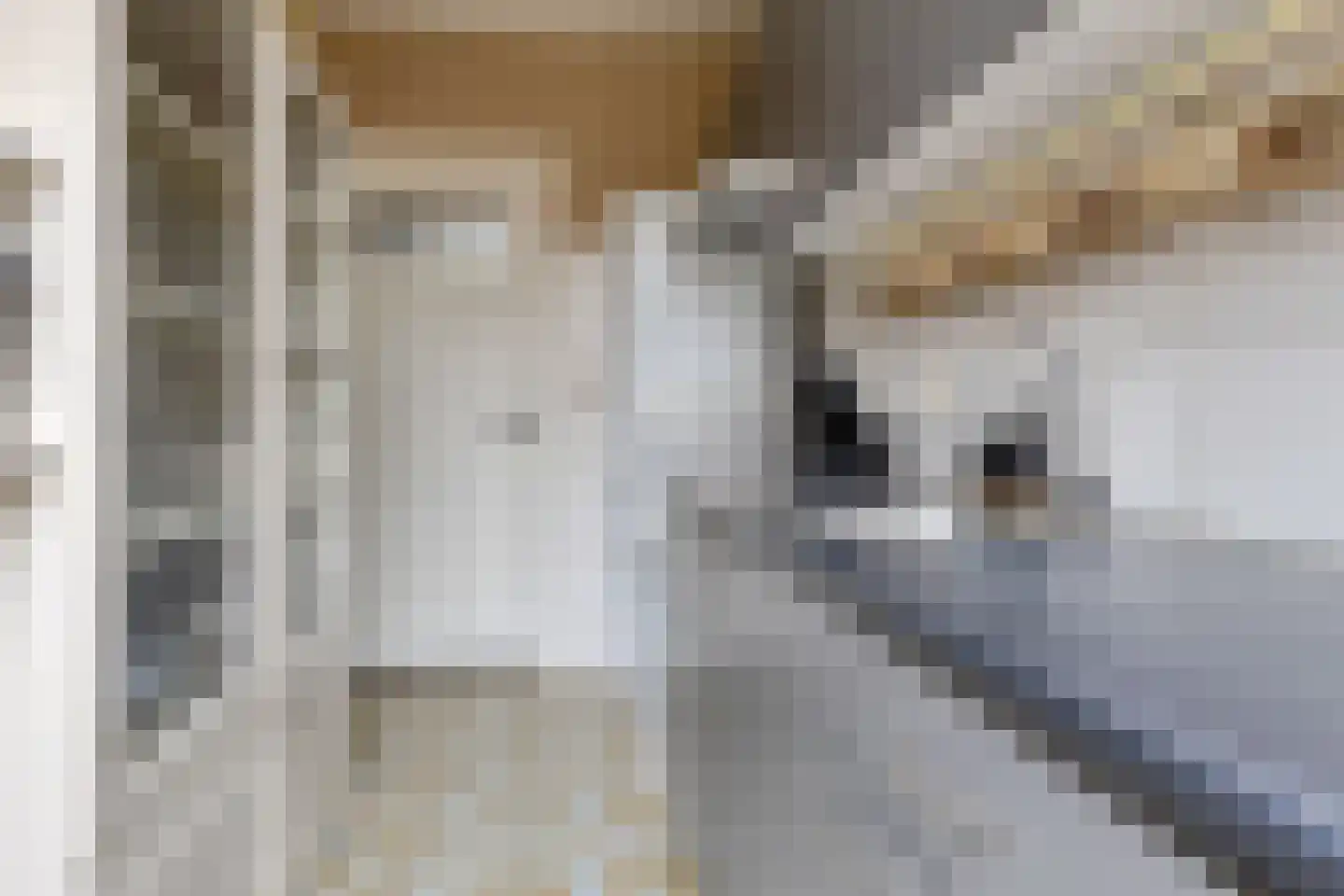 Outshoornstraat 51 Tilburg thumbnail 6