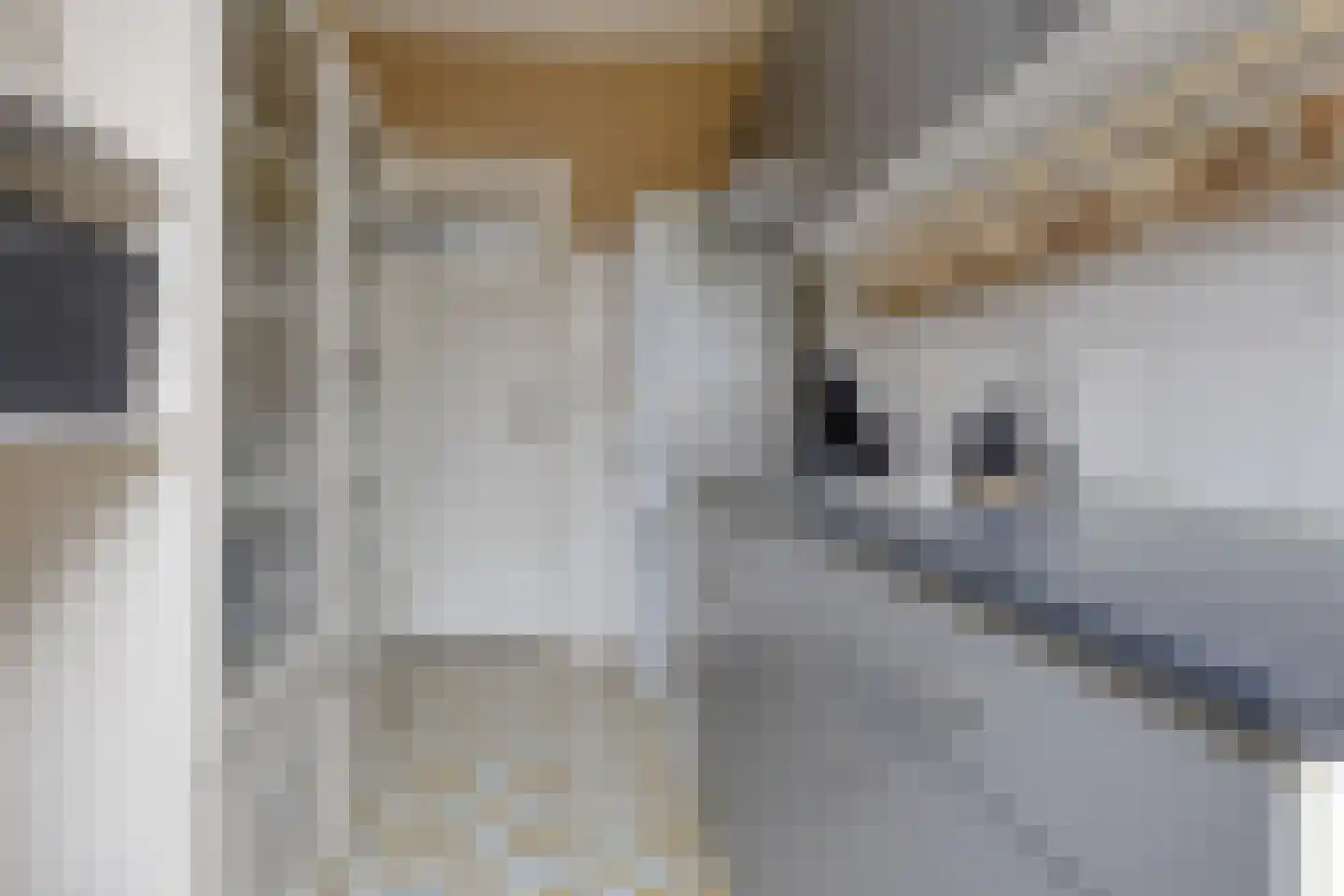 Outshoornstraat 51 Tilburg thumbnail 8