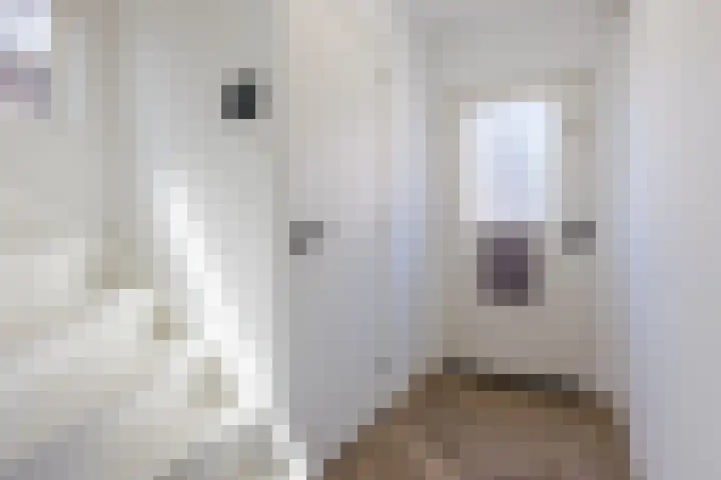 Outshoornstraat 52 Tilburg thumbnail 13