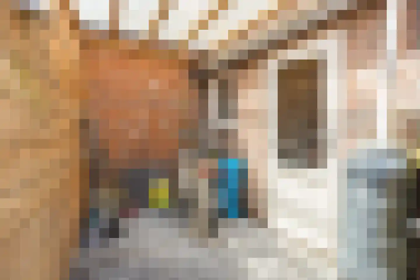 Outshoornstraat 52 Tilburg thumbnail 25
