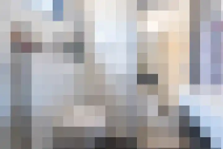 Outshoornstraat 61 Tilburg thumbnail 9
