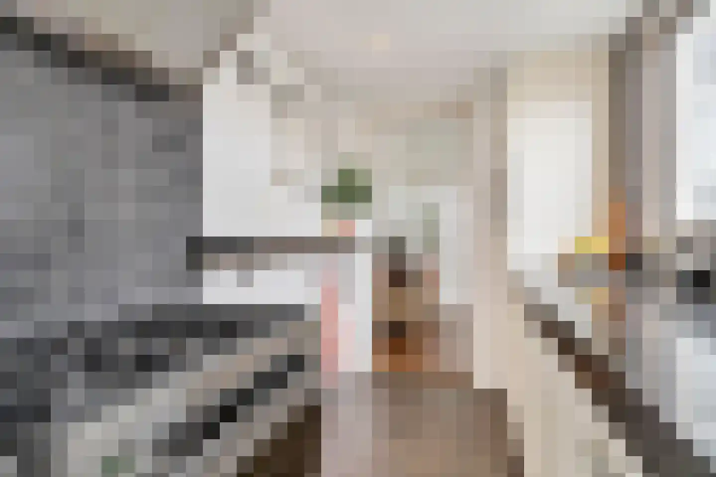 Outshoornstraat 68 Tilburg thumbnail 10