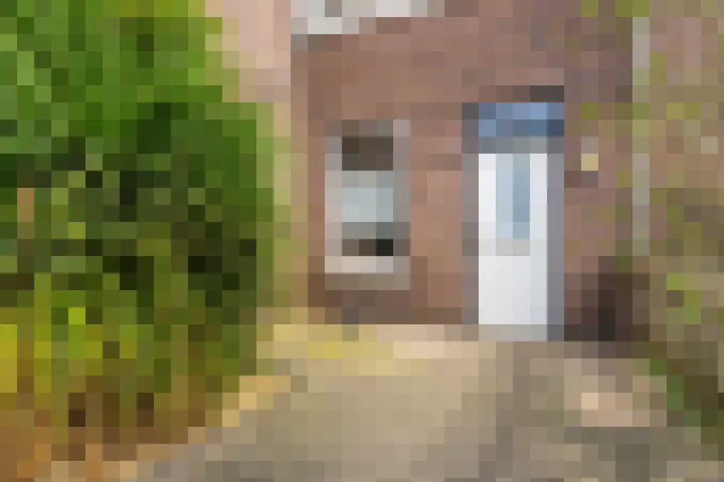 Outshoornstraat 68 Tilburg thumbnail 31