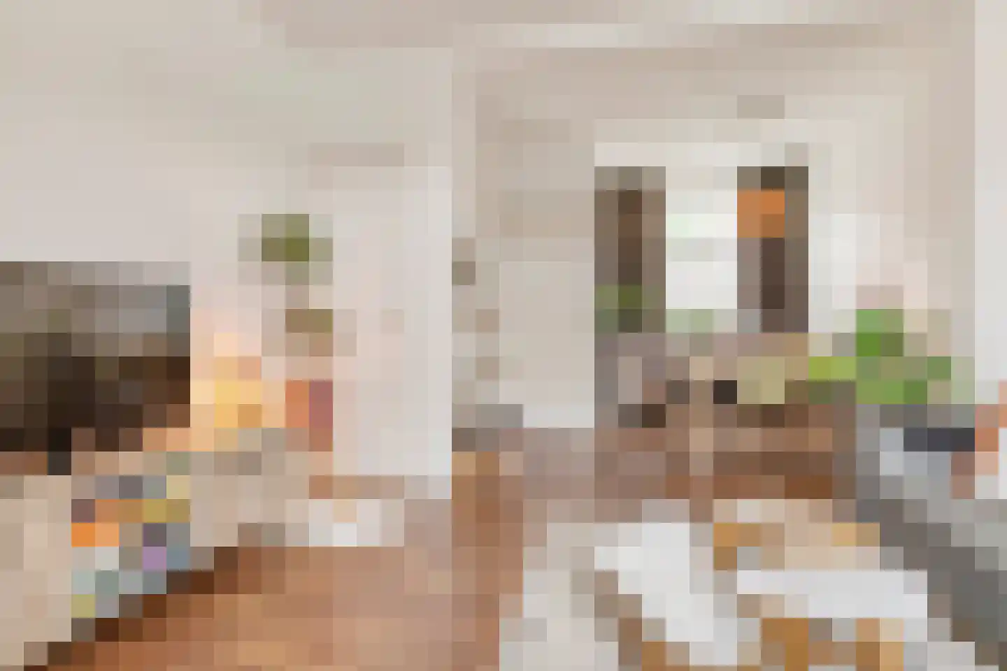 Outshoornstraat 68 Tilburg thumbnail 4