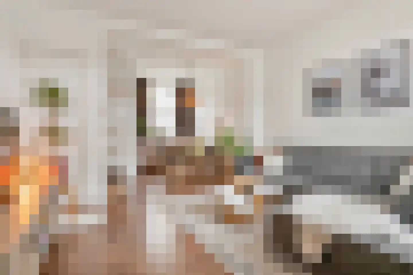 Outshoornstraat 68 Tilburg thumbnail 6