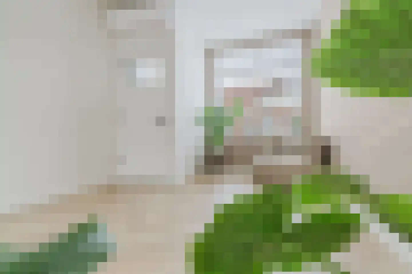 Outshoornstraat 84 Tilburg thumbnail 10