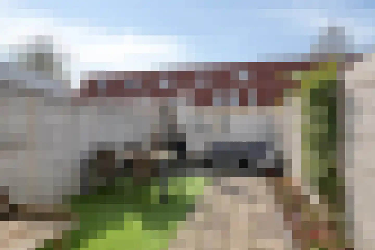 Outshoornstraat 89 Tilburg thumbnail 24